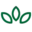 chapelwood.org favicon